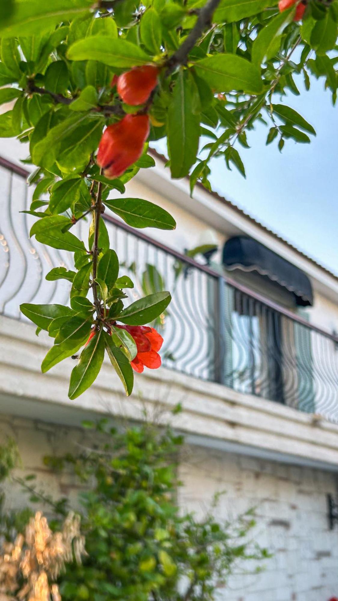 N Hotels Cesme Dalyankoy  Exteriér fotografie