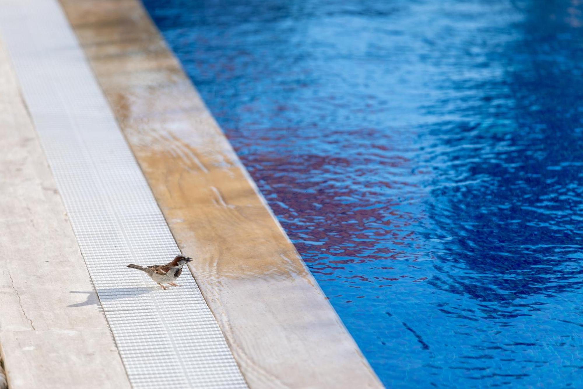 N Hotels Cesme Dalyankoy  Exteriér fotografie